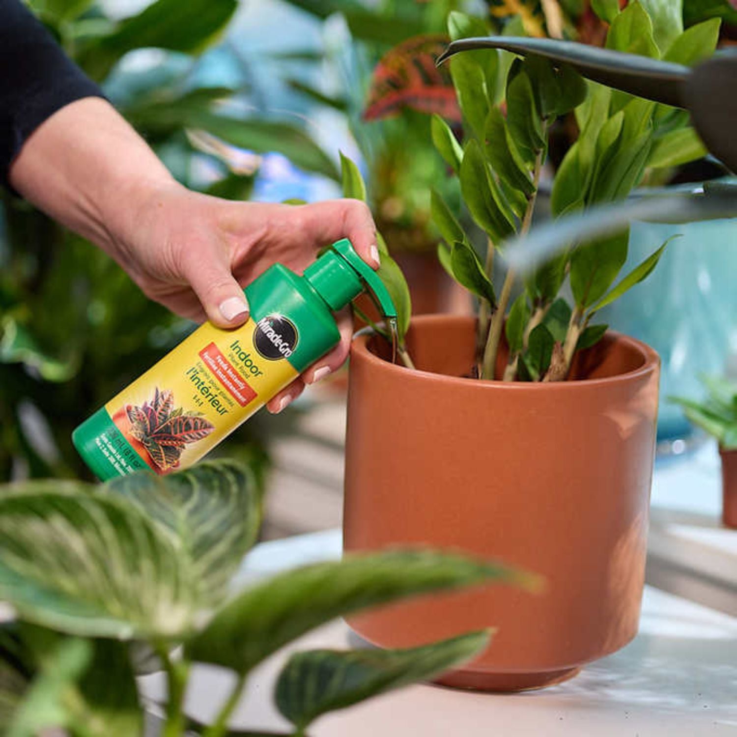 Miracle-Gro Engrais plantes d'intérieur 709ml