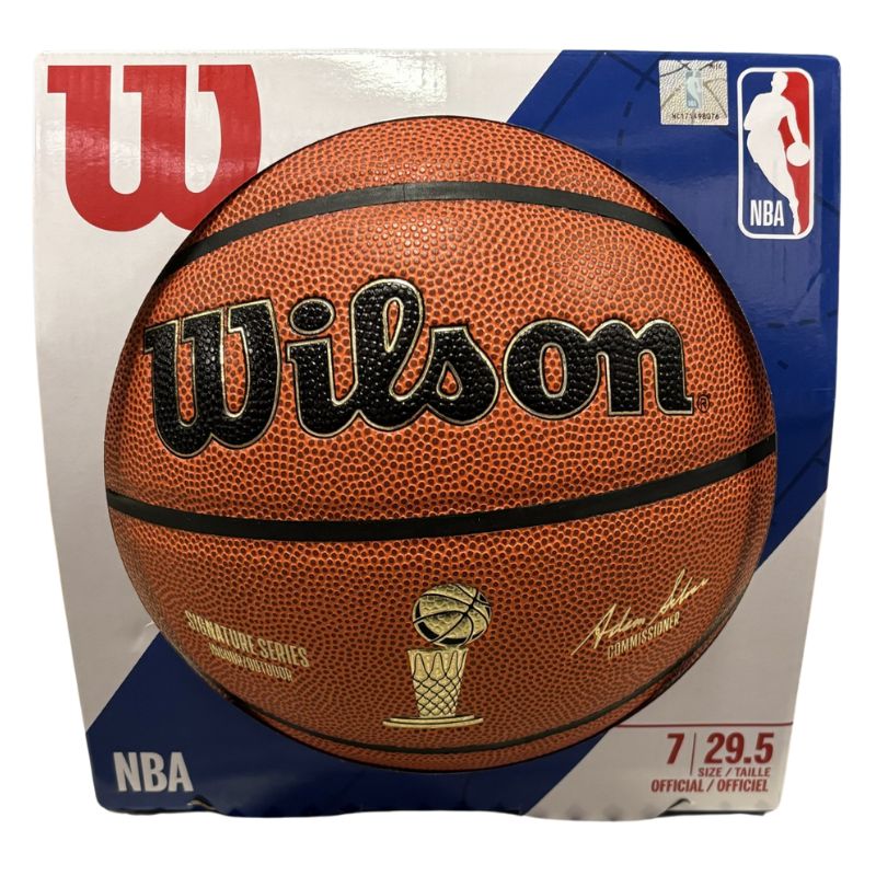 Wilson Ballon Basket